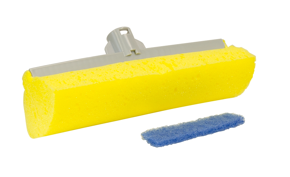 Sponges
